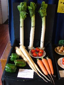 Winning vegetable tray