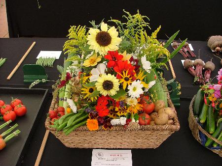 Winning harvest basket by Shirley Masters