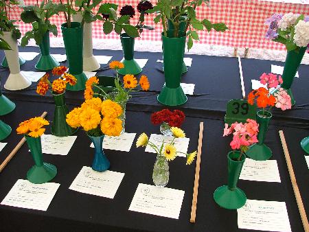 Marigolds and geranium classes