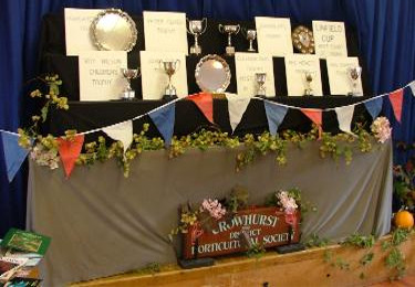 Autumn Show 2011