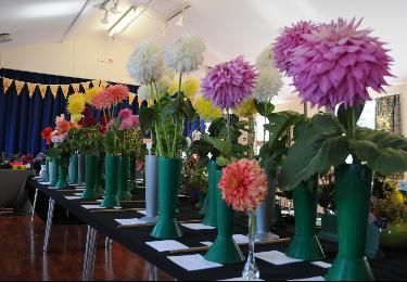 Autumn Show 2012