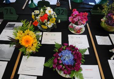 Autumn Show 2012