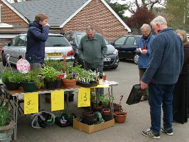 Plant Sale 2015