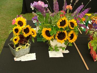 Summer Show - Sunflower floral displays