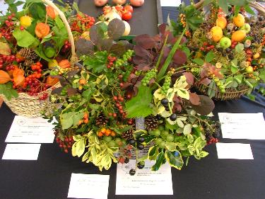 Autumn Show - Floral art