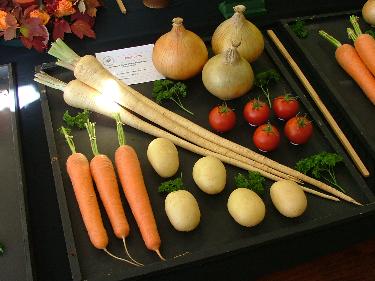 Autumn Show - The winning top tray