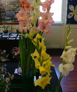 Autumn Show - Gladioli