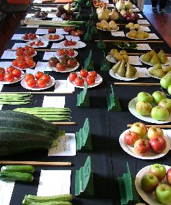 Autumn Show - Fruit & Veg