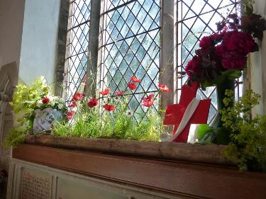 The poppy display