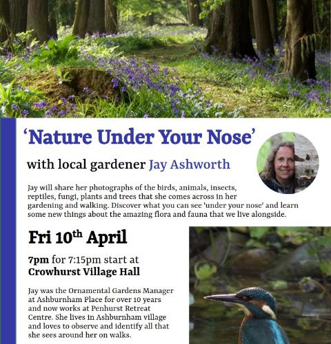 'Nature Under Your Nose' lecture evening April 2026