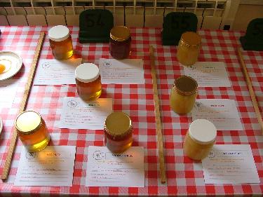 Honey classes