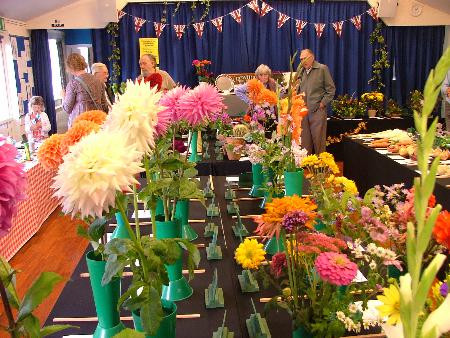 Floral exhibits