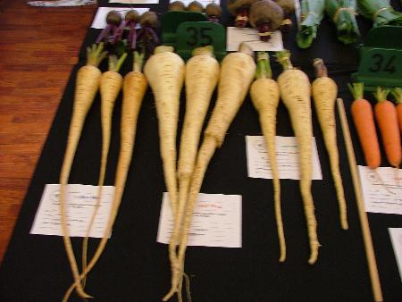 Parsnips