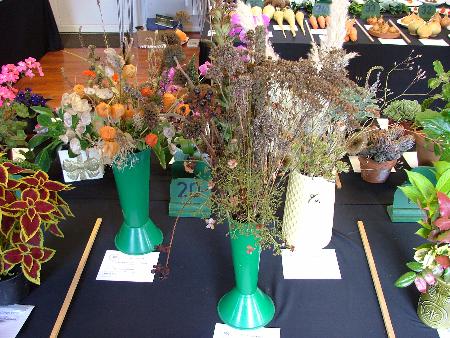 Seed heads exhibits