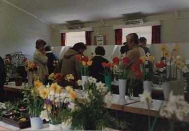 1988 Spring Show