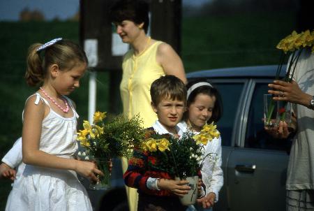 Spring Show 1987