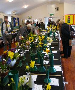 Floral exhibits