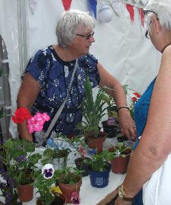 Margaret on the plant stall