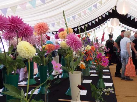 The dahlia display. Photo by Lorna Neville